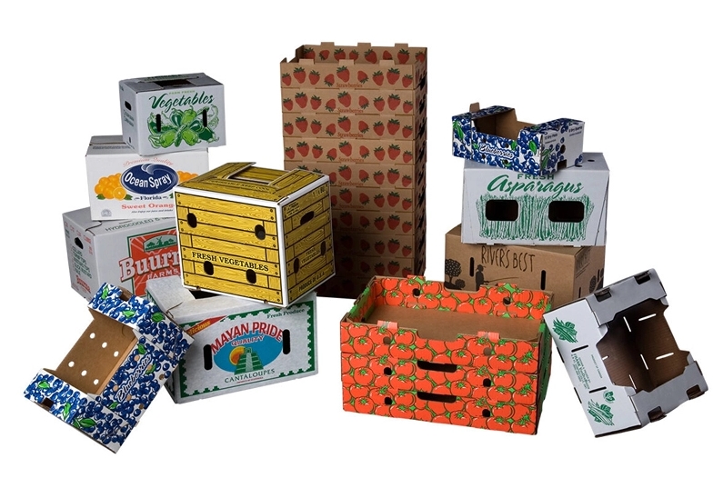 Corrugated-Carton-Packaging-for-Food-and-Beverage